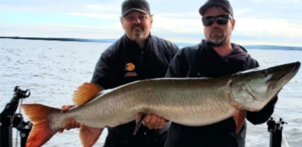 French River Musky Guide